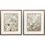 Paragon Climbing Roses S/2 Gray 20 X 17 X 1 Wall Art