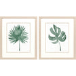 Paragon Plant Press S/2 Green 20 X 17 X 1 Wall Art