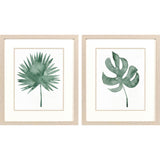 Paragon Plant Press S/2 Green 20 X 17 X 1 Wall Art