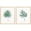 Paragon Plant Press S/2 Green 20 X 17 X 1 Wall Art