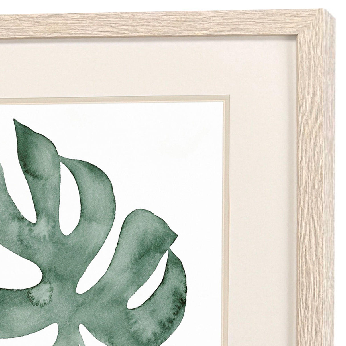 Paragon Plant Press S/2 Green 20 X 17 X 1 Wall Art