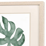Paragon Plant Press S/2 Green 20 X 17 X 1 Wall Art