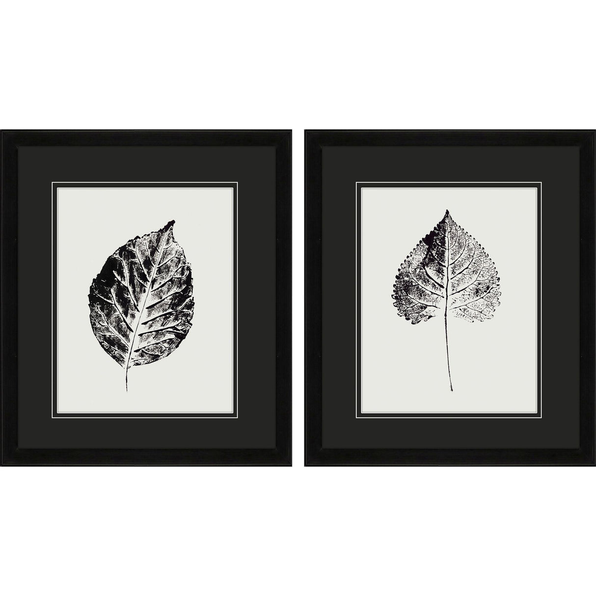Paragon Black Print Leaf I S/2 Black 20 X 17 X 2 Wall Art