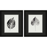 Paragon Black Print Leaf I S/2 Black 20 X 17 X 2 Wall Art