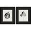 Paragon Black Print Leaf I S/2 Black 20 X 17 X 2 Wall Art