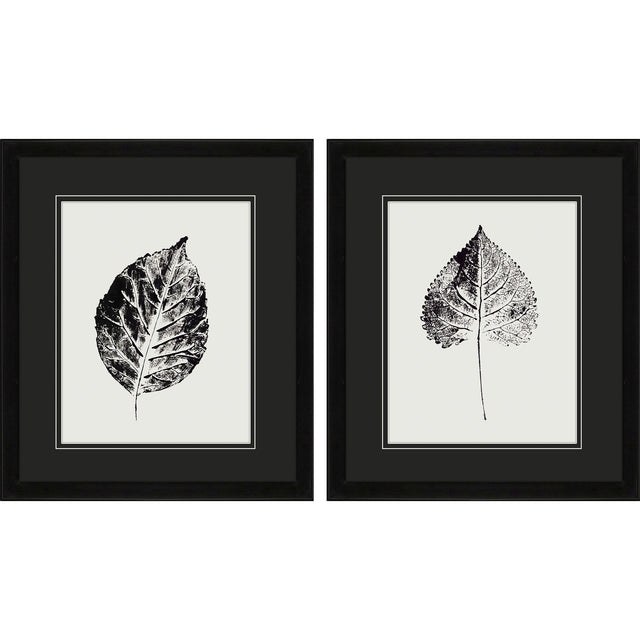 Paragon Black Print Leaf I S/2 Black 20 X 17 X 2 Wall Art