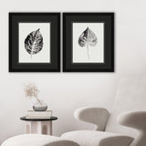 Paragon Black Print Leaf I S/2 Black 20 X 17 X 2 Wall Art