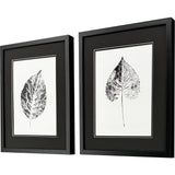 Paragon Black Print Leaf I S/2 Black 20 X 17 X 2 Wall Art