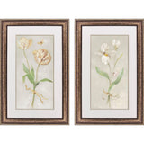 Paragon Tulip & Iris S/2 Beige 34 X 22 X 2 Wall Art
