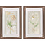 Paragon Tulip & Iris S/2 Beige 34 X 22 X 2 Wall Art
