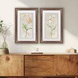 Paragon Tulip & Iris S/2 Beige 34 X 22 X 2 Wall Art