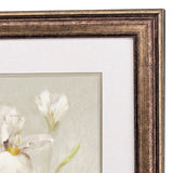 Paragon Tulip & Iris S/2 Beige 34 X 22 X 2 Wall Art