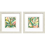 Paragon Candy Tropicals I S/2 Pink 11 X 11 X 1 Wall Art