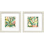 Paragon Candy Tropicals I S/2 Pink 11 X 11 X 1 Wall Art