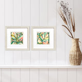 Paragon Candy Tropicals I S/2 Pink 11 X 11 X 1 Wall Art