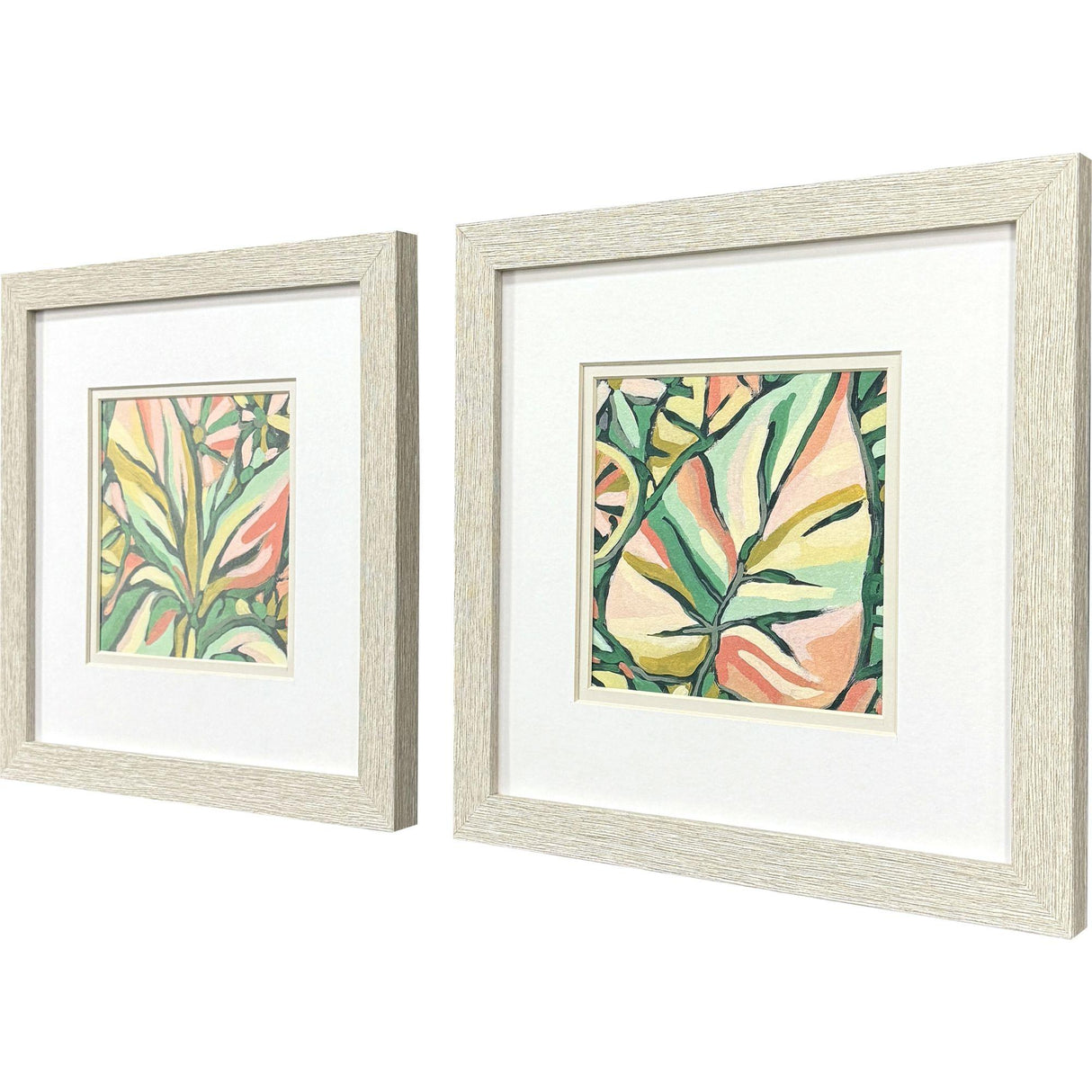 Paragon Candy Tropicals I S/2 Pink 11 X 11 X 1 Wall Art