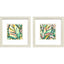 Paragon Candy Tropicals II S/2 Pink 11 X 11 X 1 Wall Art