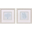 Paragon Soft Coral S/2 Blue 11 X 11 X 1 Wall Art