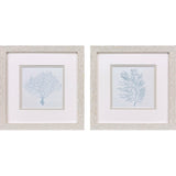 Paragon Soft Coral S/2 Blue 11 X 11 X 1 Wall Art