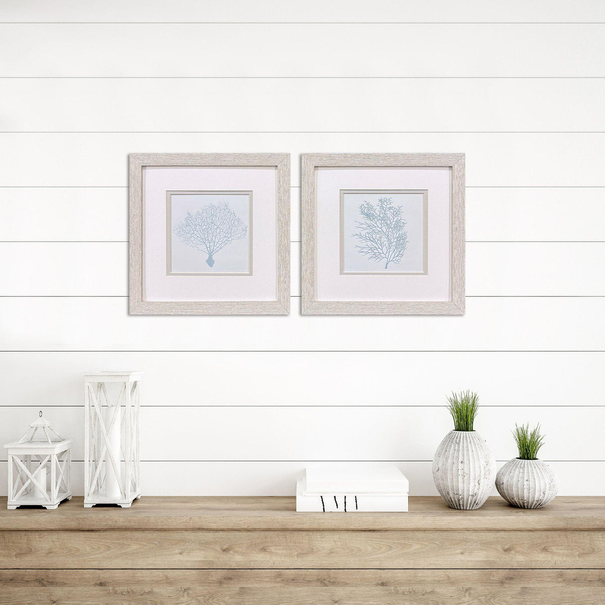 Paragon Soft Coral S/2 Blue 11 X 11 X 1 Wall Art
