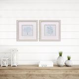 Paragon Soft Coral S/2 Blue 11 X 11 X 1 Wall Art