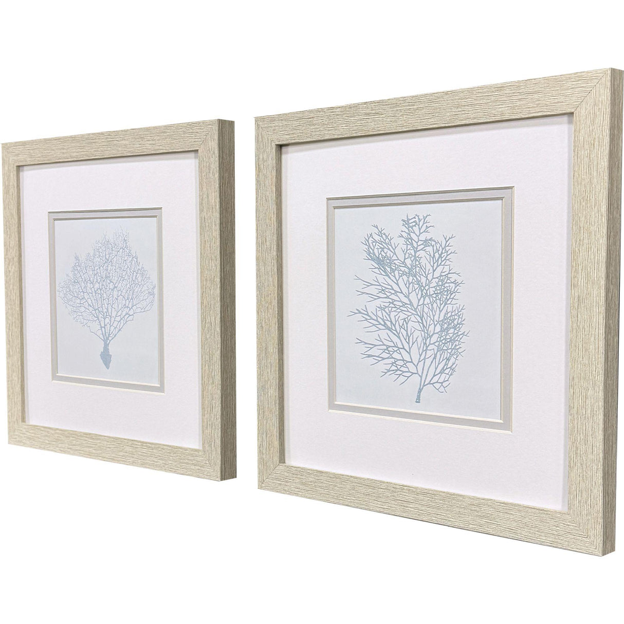 Paragon Soft Coral S/2 Blue 11 X 11 X 1 Wall Art