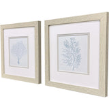 Paragon Soft Coral S/2 Blue 11 X 11 X 1 Wall Art