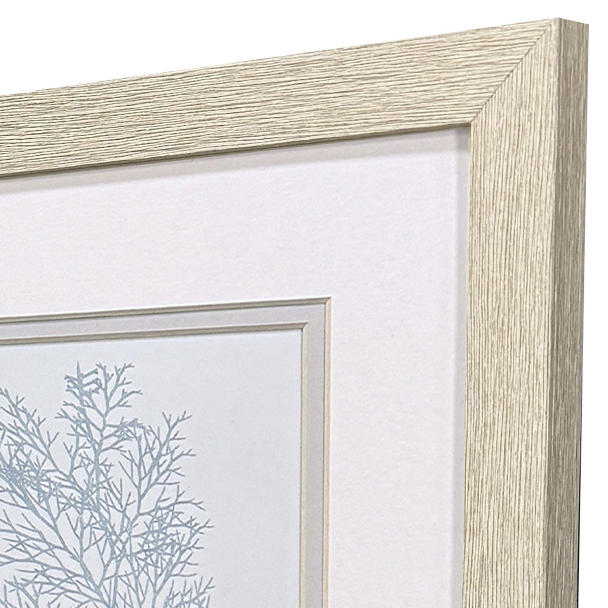 Paragon Soft Coral S/2 Blue 11 X 11 X 1 Wall Art