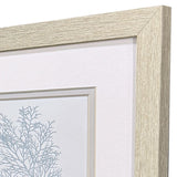 Paragon Soft Coral S/2 Blue 11 X 11 X 1 Wall Art