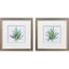 Paragon Tropical Leaves S/2 Green 11 X 11 X 1 Wall Art