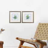 Paragon Tropical Leaves S/2 Green 11 X 11 X 1 Wall Art