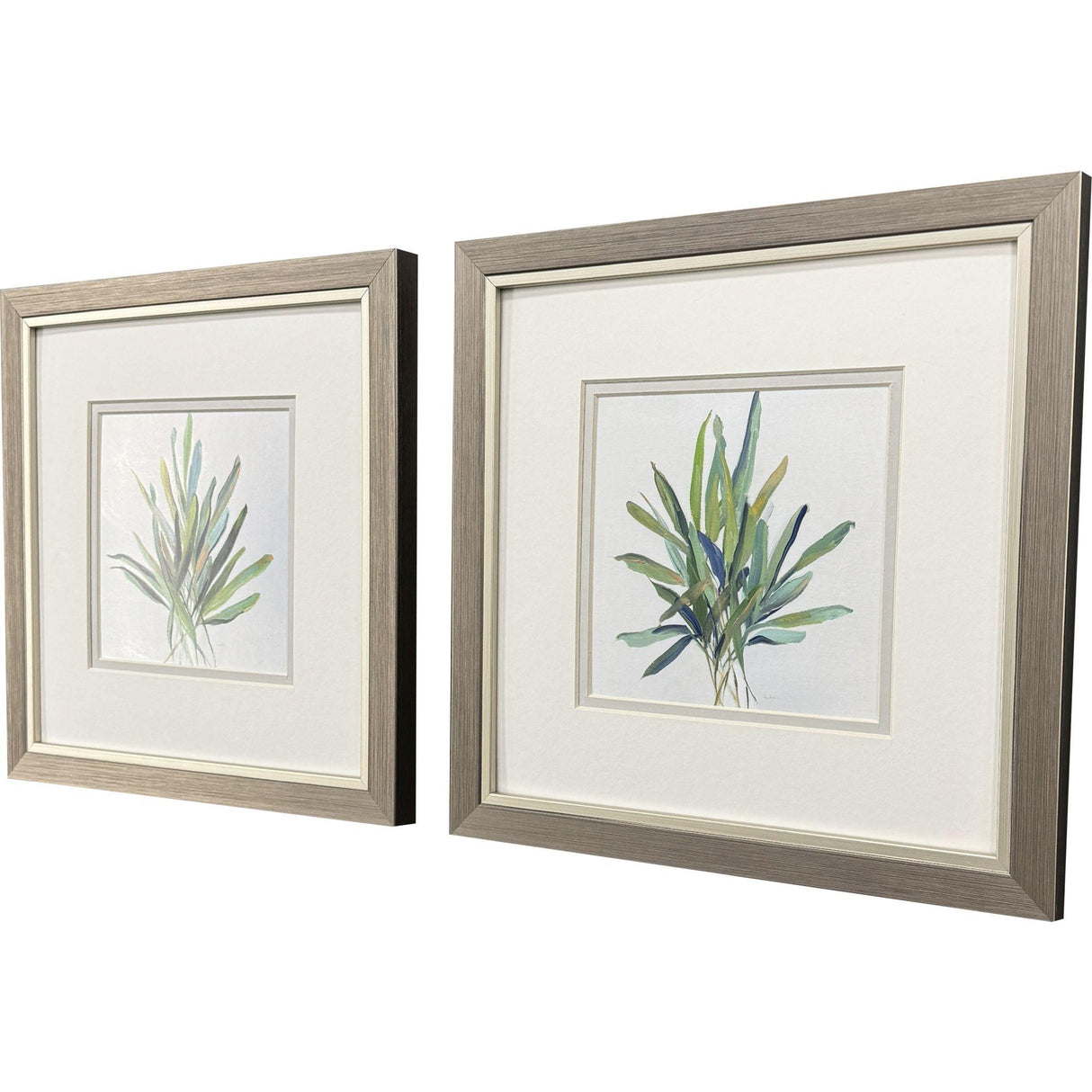 Paragon Tropical Leaves S/2 Green 11 X 11 X 1 Wall Art