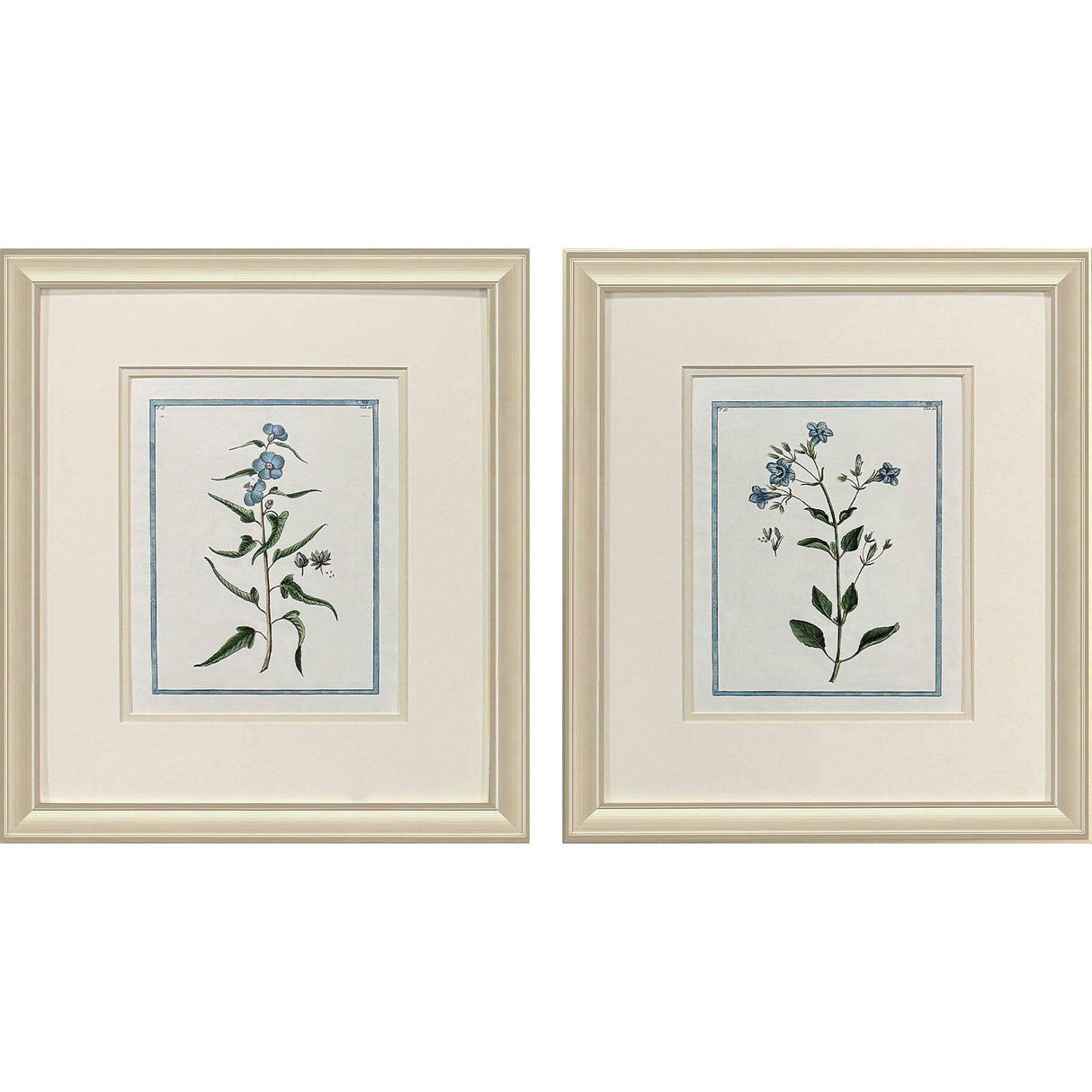 Paragon Shabby Chic Botanical S/2 Blue 17 X 15 X 1 Wall Art
