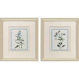 Paragon Shabby Chic Botanical S/2 Blue 17 X 15 X 1 Wall Art