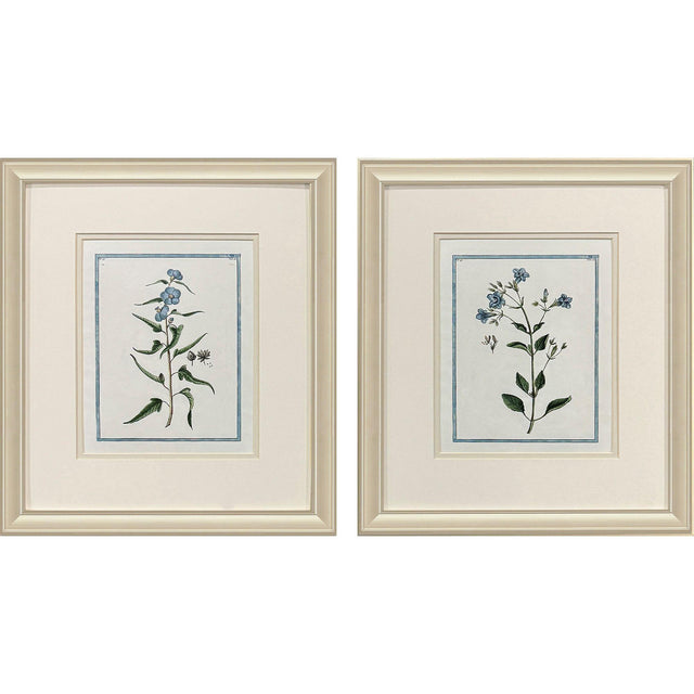 Paragon Shabby Chic Botanical S/2 Blue 17 X 15 X 1 Wall Art