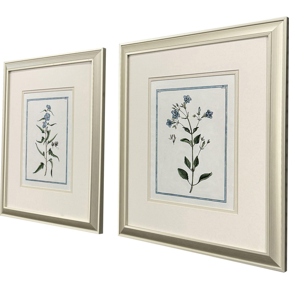 Paragon Shabby Chic Botanical S/2 Blue 17 X 15 X 1 Wall Art