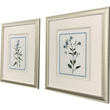 Paragon Shabby Chic Botanical S/2 Blue 17 X 15 X 1 Wall Art