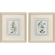 Paragon Shabby Chic Botanical S/2 Blue 17 X 15 X 1 Wall Art