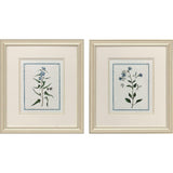Paragon Shabby Chic Botanical S/2 Blue 17 X 15 X 1 Wall Art
