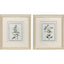 Paragon Shabby Chic Botanical S/2 Blue 17 X 15 X 1 Wall Art