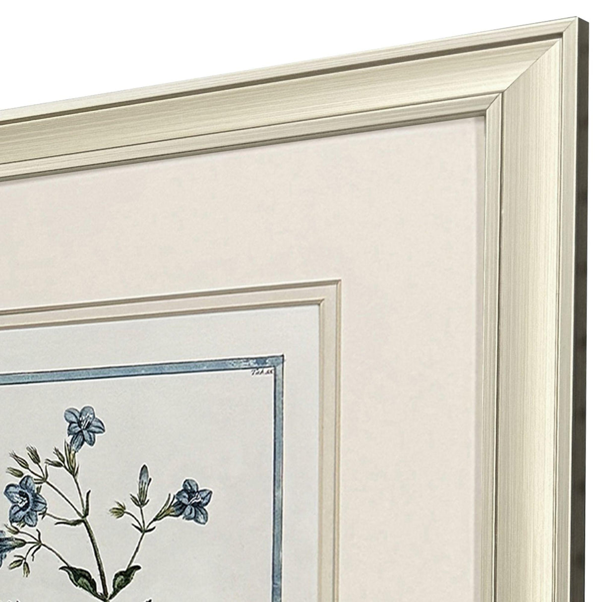 Paragon Shabby Chic Botanical S/2 Blue 17 X 15 X 1 Wall Art