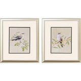 Paragon Botanical Birds S/2 Beige 17 X 15 X 1 Wall Art
