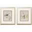 Paragon Botanical Birds S/2 Beige 17 X 15 X 1 Wall Art