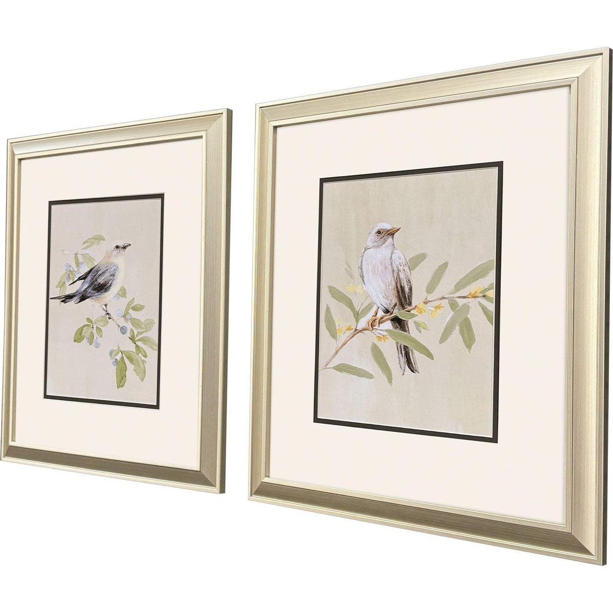 Paragon Botanical Birds S/2 Beige 17 X 15 X 1 Wall Art
