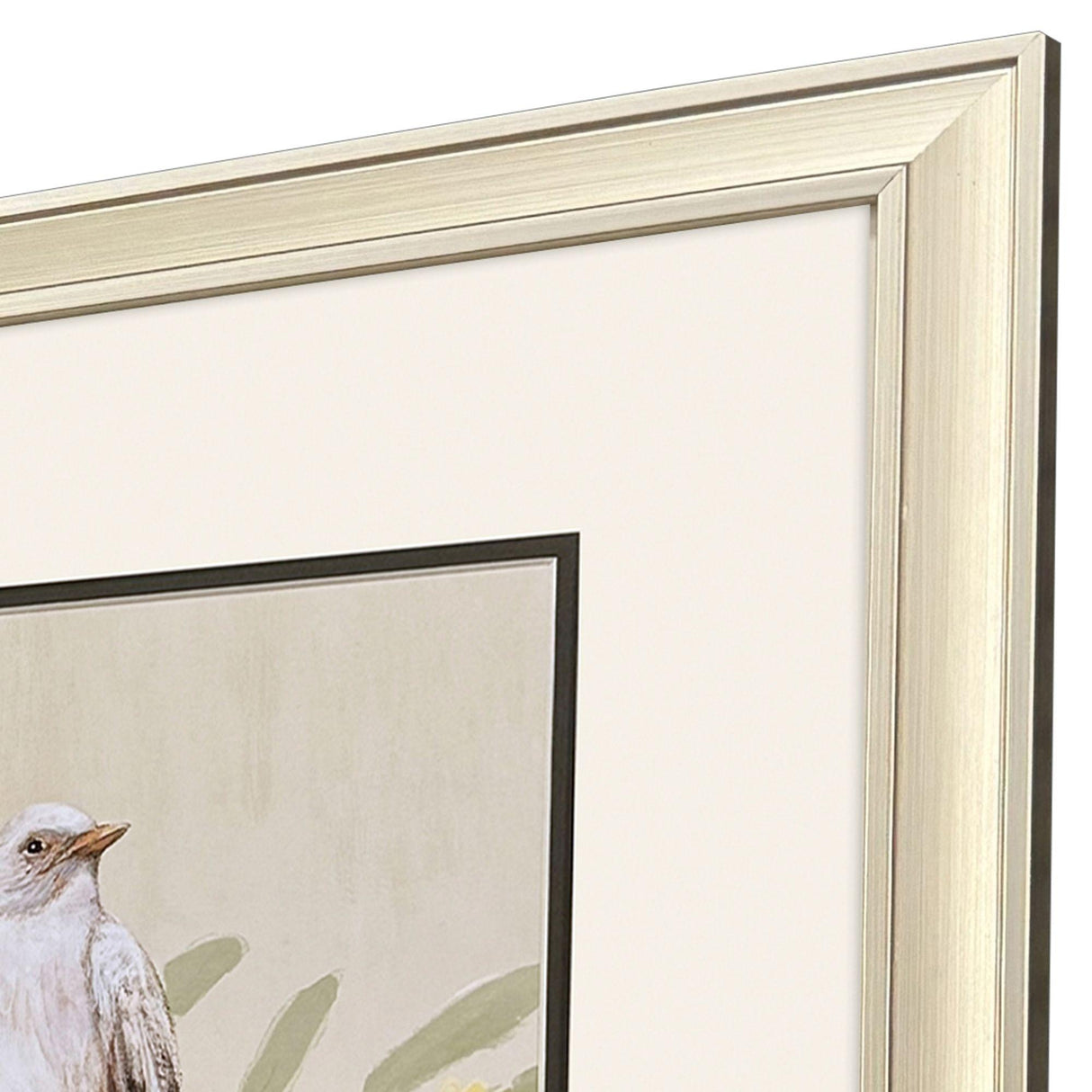 Paragon Botanical Birds S/2 Beige 17 X 15 X 1 Wall Art