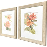 Paragon Just Peachy S/2 Pink 18 X 16 X 1 Wall Art