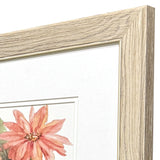 Paragon Just Peachy S/2 Pink 18 X 16 X 1 Wall Art