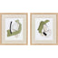 Paragon Sage Treasures I S/2 Green 21 X 18 X 1 Wall Art