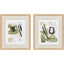 Paragon Sage Treasures II S/2 Green 21 X 18 X 1 Wall Art