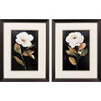 Paragon Botanical on Black S/2 Black 27 X 21 X 1 Wall Art